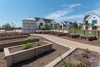Community garden- grow your own veggies & herbs!